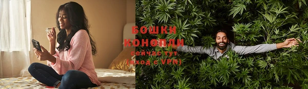 индика Липки
