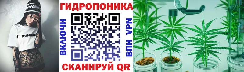 Бошки марихуана сатива  Купить где  Тара 